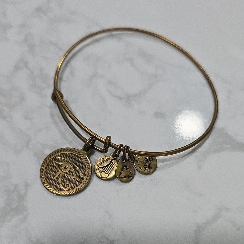 Alex and Ani Energy Charm Bangle Bracelet
